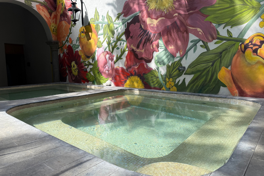 Ritual de Purificación en Agua